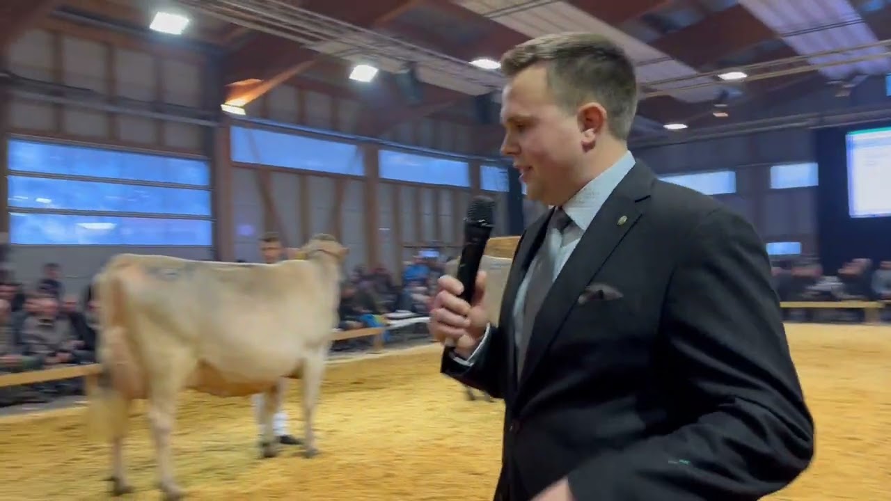 Bündner Braunviehtag 2022 Championwahl