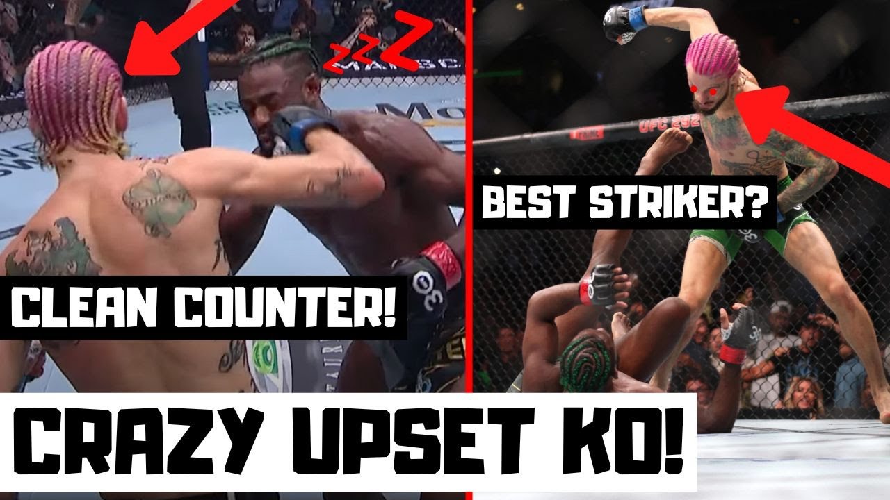 Aljamain Sterling vs Sean O'Malley Full Fight Reaction and Breakdown - UFC 292 Event Recap