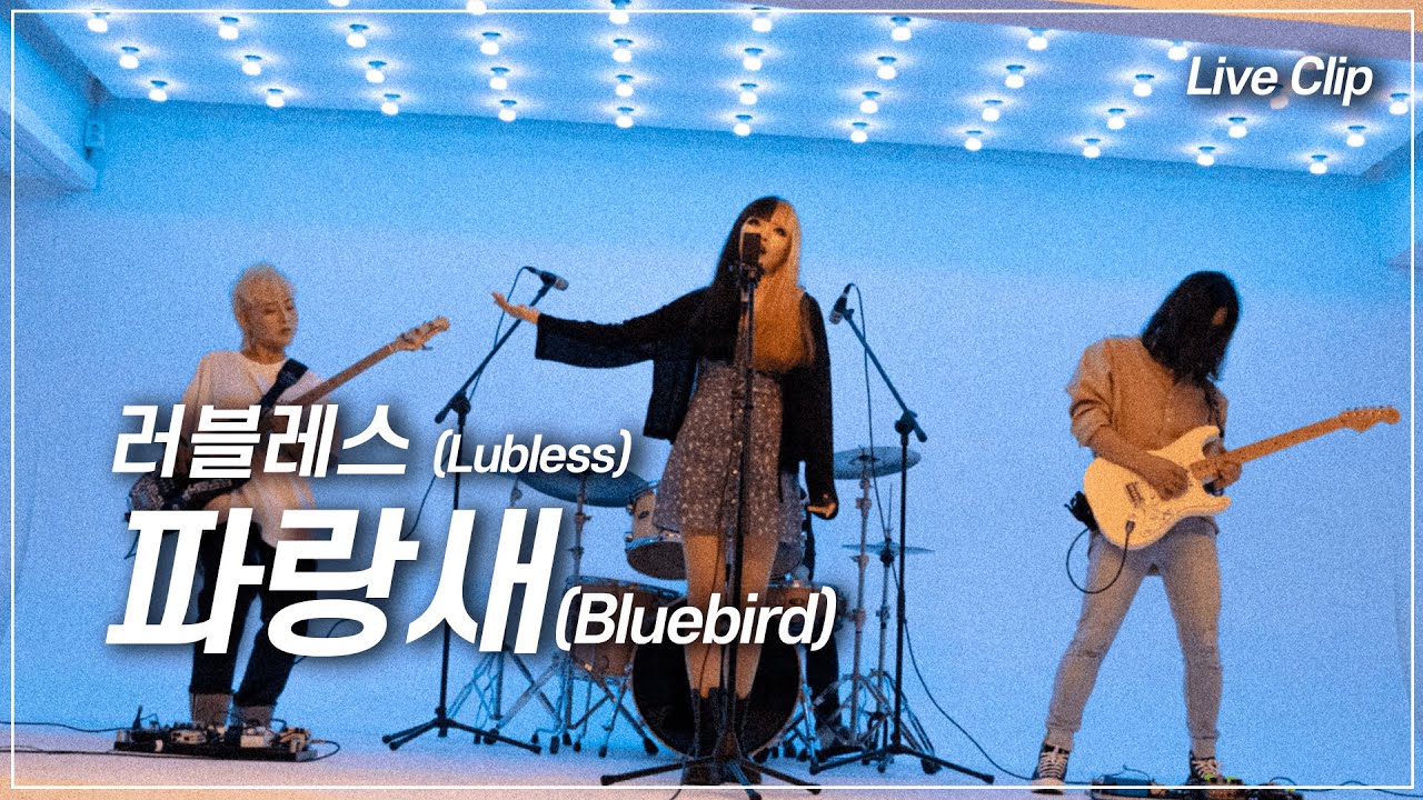 [Live Clip] 러블레스(Lubless) - 파랑새(Bluebird)