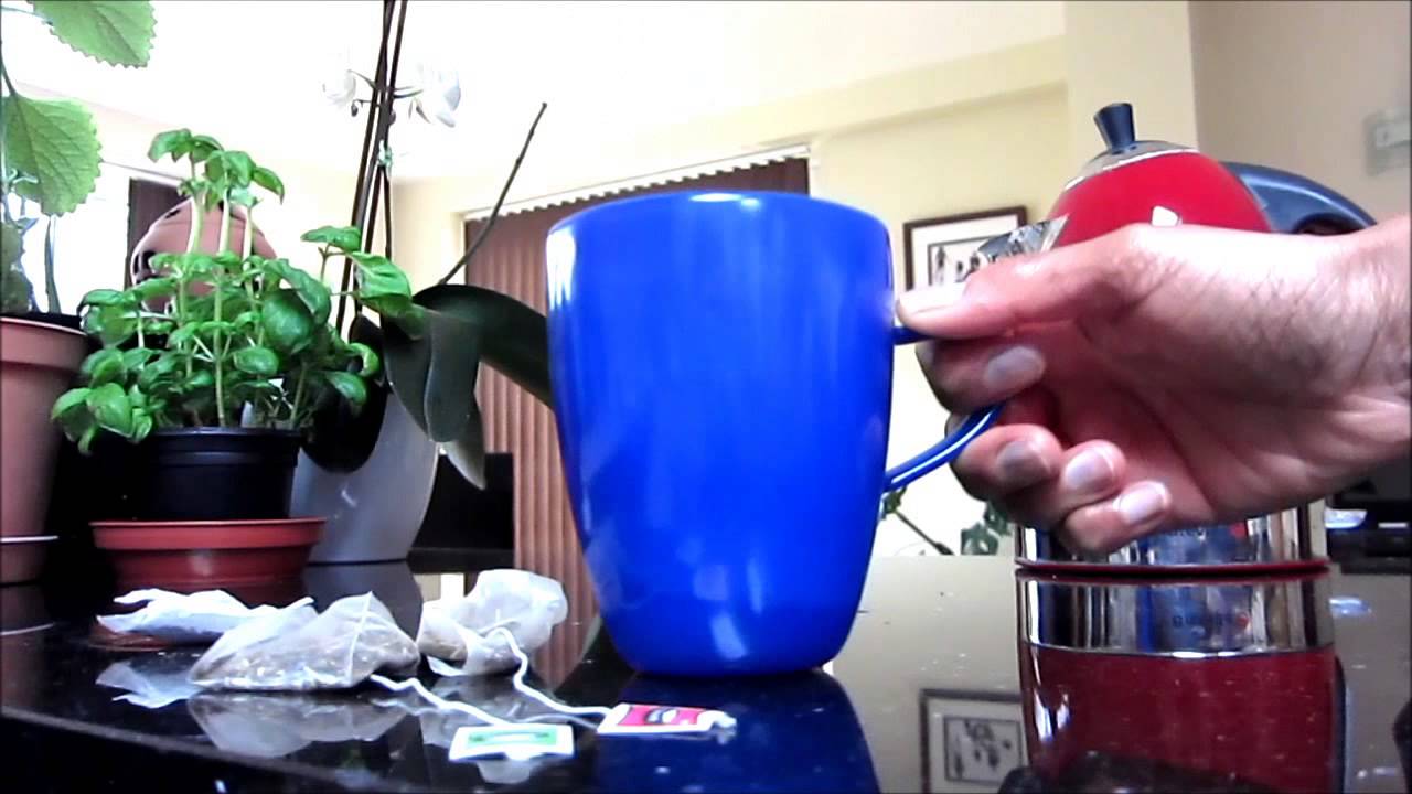 Chameleon Mug