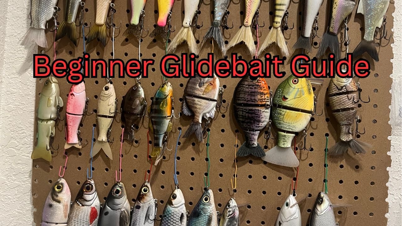 How to Choose a Beginner Glidebait and Where to Start?