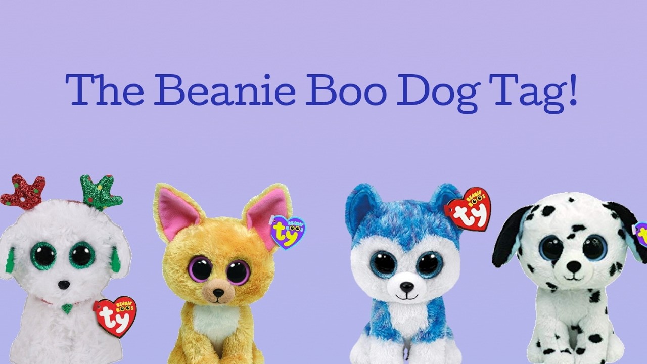 The Beanie Boo Dog Tag