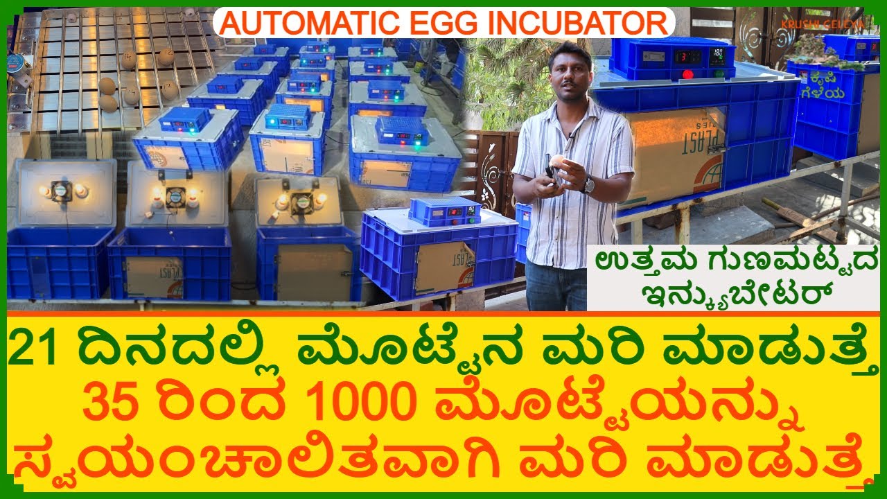 ಕೇವಲ 100₹ನಲ್ಲಿ 70 ಮೊಟ್ಟೆ ಮರಿ ಆಗುತ್ತೆ | ಕೋಳಿ ಮೊಟ್ಟೆ ಮರಿ ಮಾಡುವುದು ಸುಲಭ 21 ದಿನದಲ್ಲಿ ಮರಿ Egg Incubator
