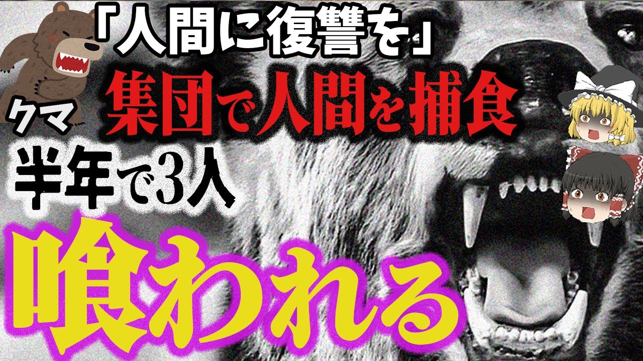 【ゆっくり解説】離れた地域なのに次々と人喰い熊の惨劇が？！実は人間への復讐…集団で「人狩り」『戸沢村人喰いグマ事件』