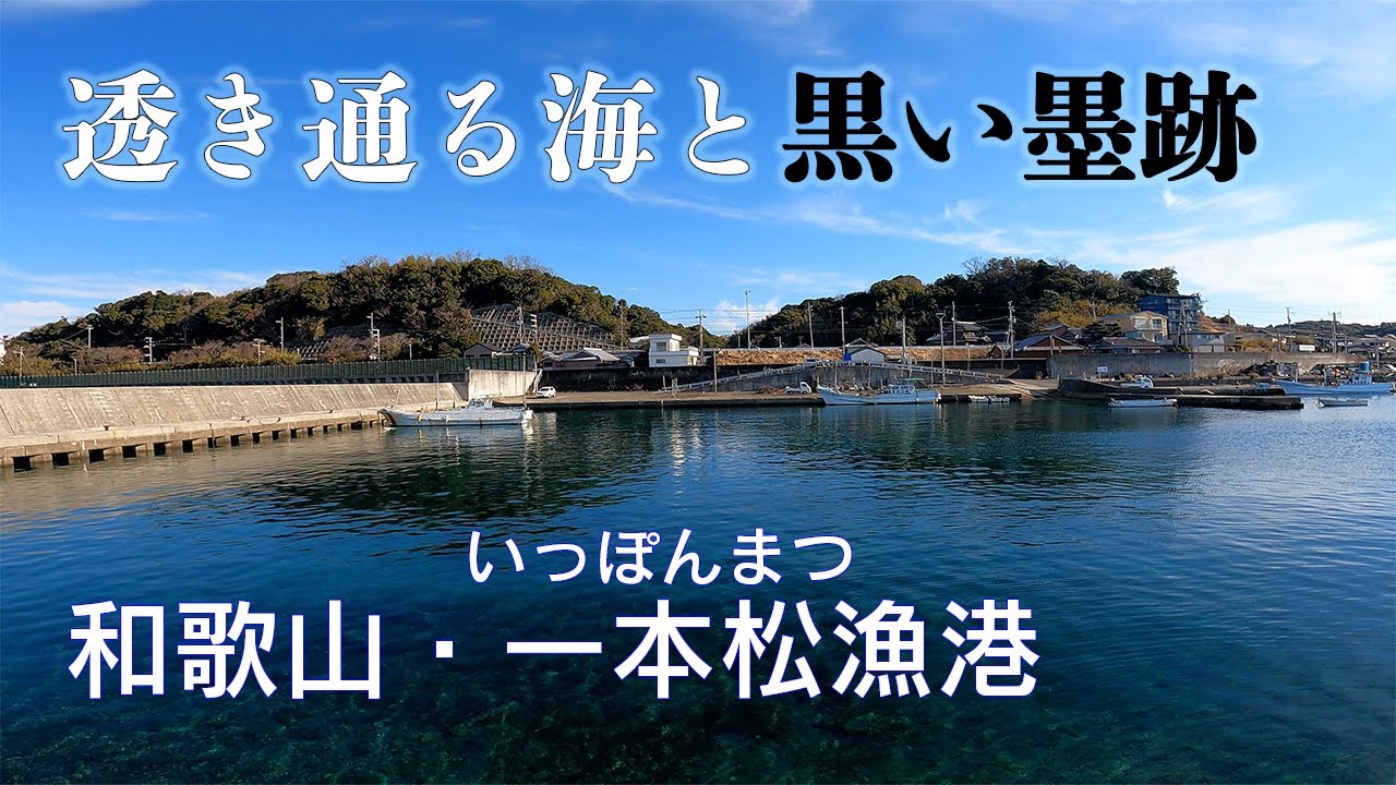 【釣り場動画#50】和歌山南紀・みなべ町の一本松漁港、エギングが面白いアオリイカの実績十分の漁港