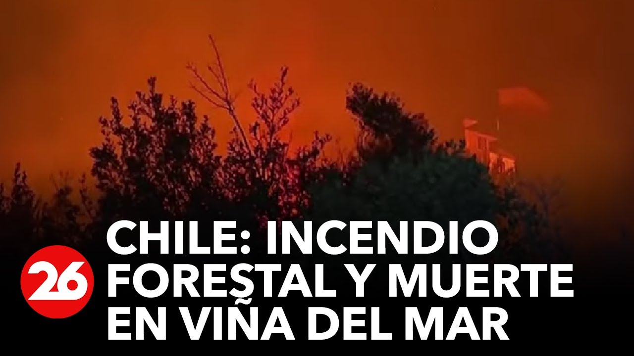 Mortal incendio forestal en Vi&ntilde;a del Mar: al menos 2 muertos