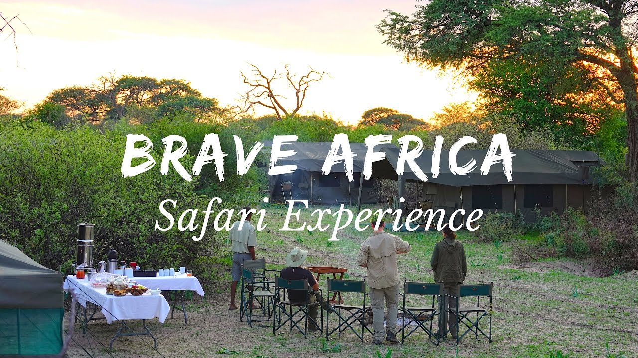 The Brave Africa Safari Experience