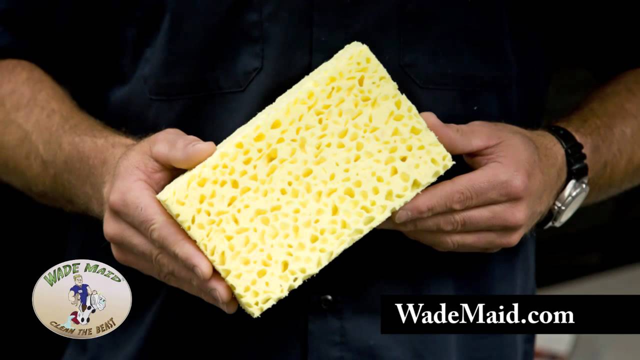 Choosing the Right Sponge to Polish Your RV