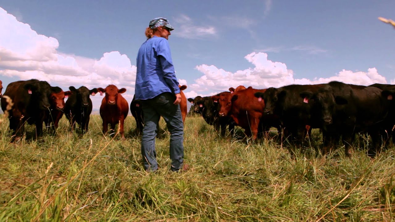 Resilient: Soil, water and the new stewards of the American West