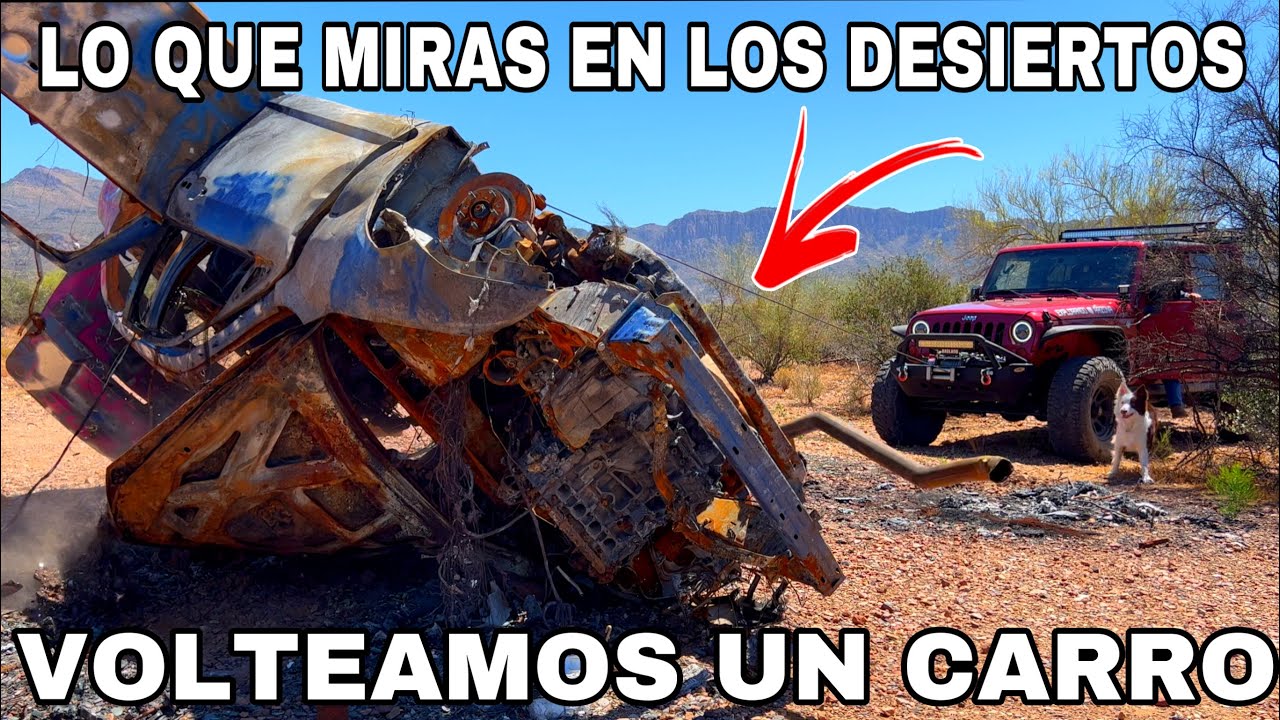 Recorriendo Desiertos Lleno De Animales MIREN LO QUE PASO