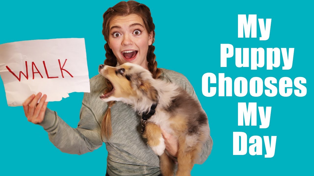 My Puppy Chooses What I Do For A Day!
