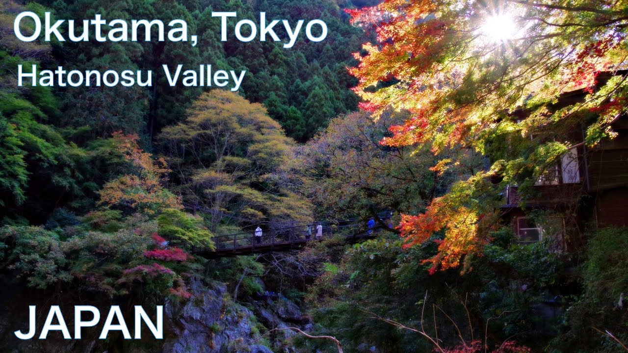 【JAPAN TRAVEL：TOKYO, OKUTAMA area】Walking along Hatonosu Gorge　Amazing beautiful nature & landscape