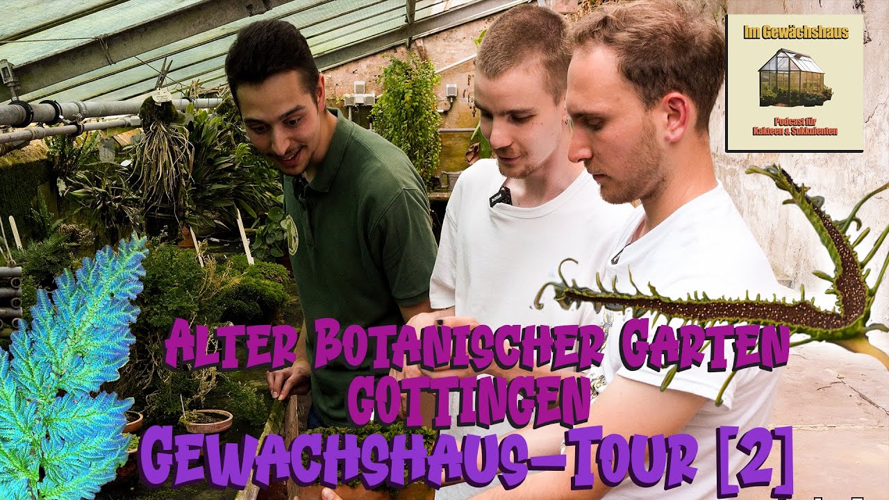 Die geheimen Gewächshäuser im alten botanischen Garten Göttingen | Gewächshaus Tour [2]