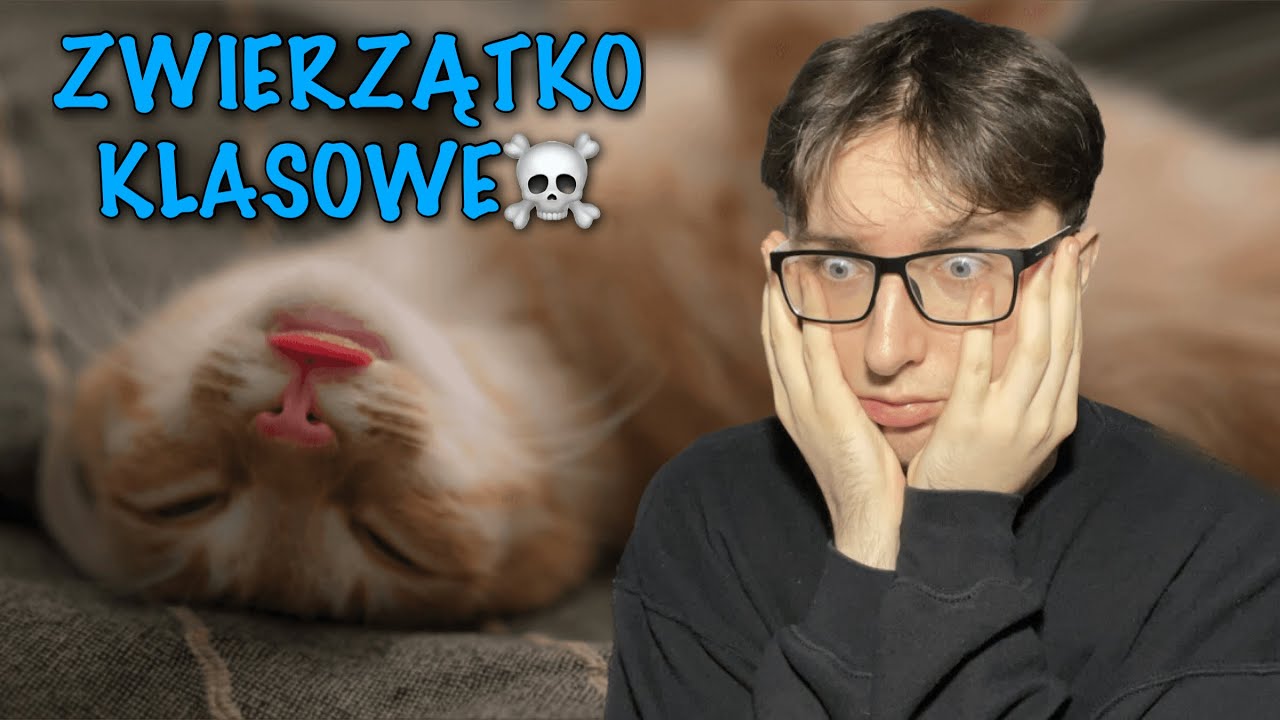 POZBAWIŁA ŻYCIA ZWIERZĄTKO KLASOWE *wasze szkolne historie*