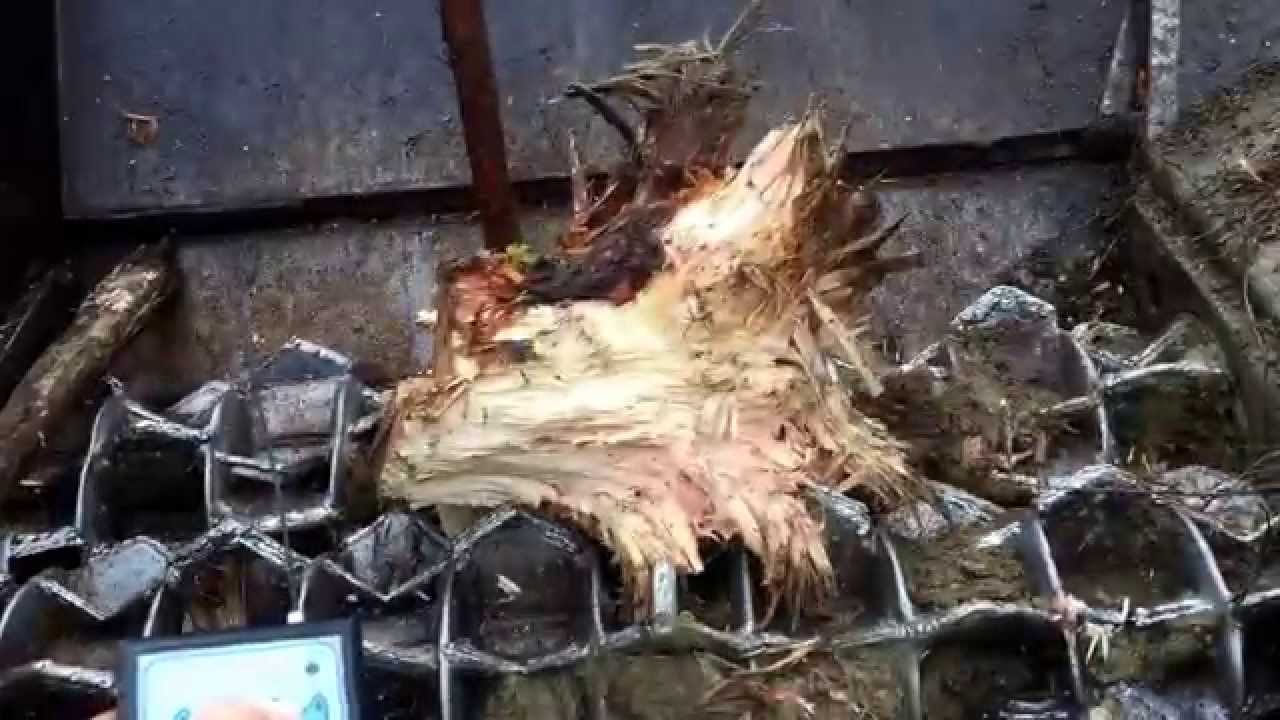 Big Wood Shredder Forus