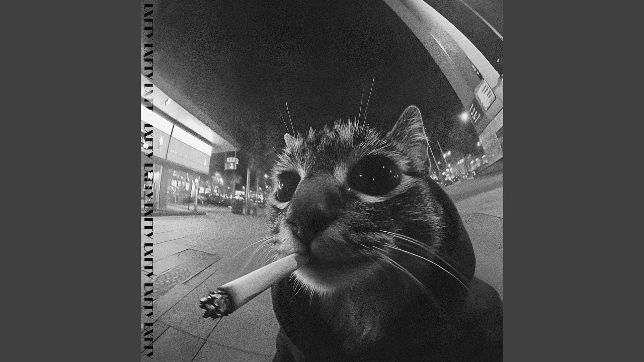 HEIST (Slowed)