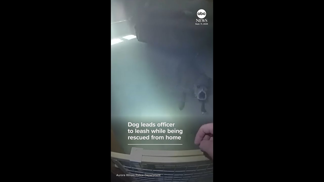 Good dog leads officer to leash while being rescued from house fire
