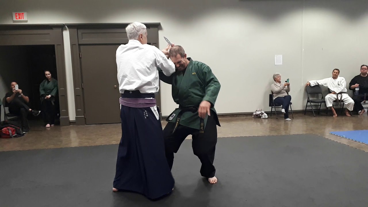 Soke Mike Lamonica 1000 Islands Jiu-jitsu Symposium 2/3