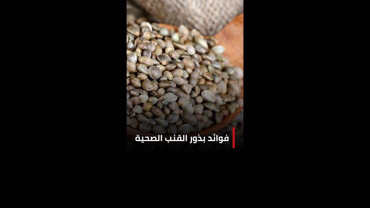 فوائد بذور القنب الصحية