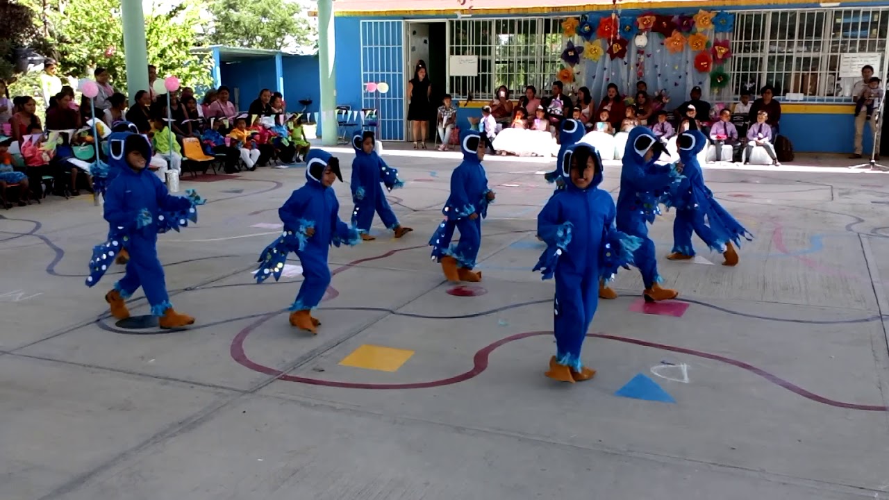 Río - bailable por alumnos de preescolar 😋