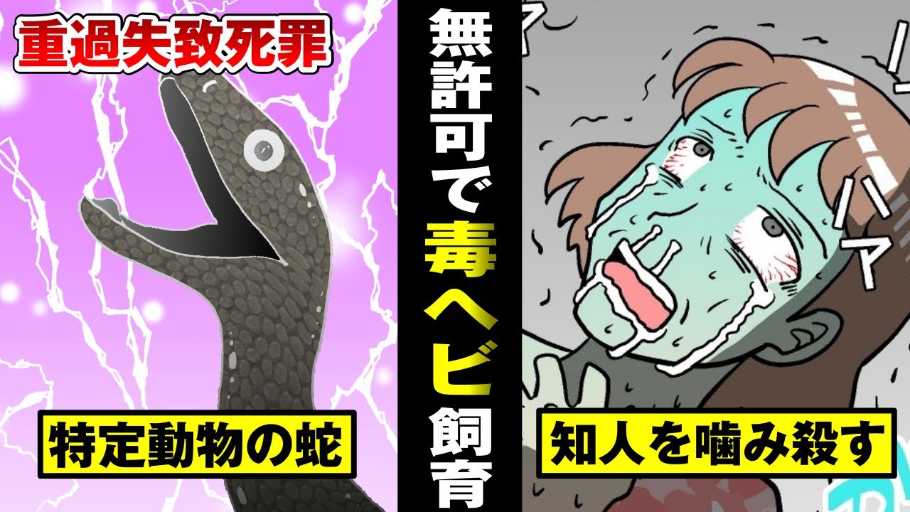 【猛毒漫画】最凶の毒蛇ブラックマンバを無許可で飼育した男&hellip;女の子を噛み殺す。