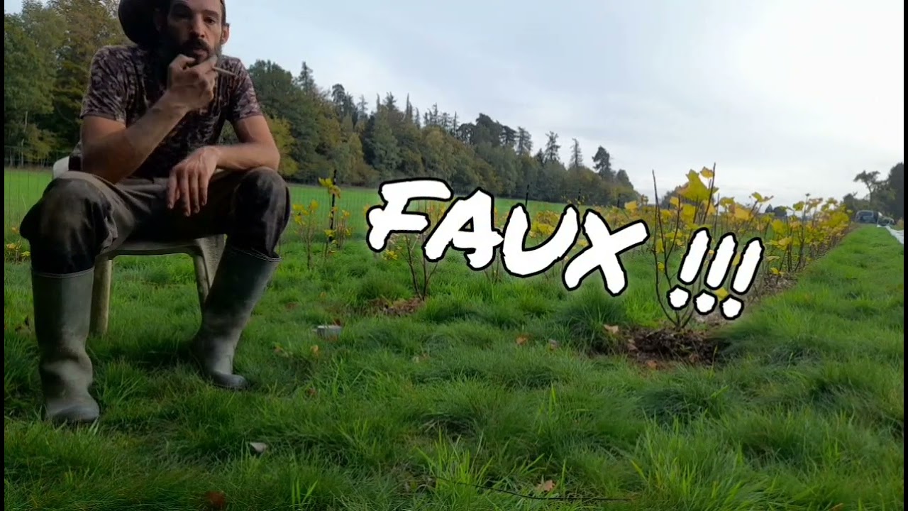 #10 - Création d'un gronioble   La Plantation ( Part 03 Le 1000ème )