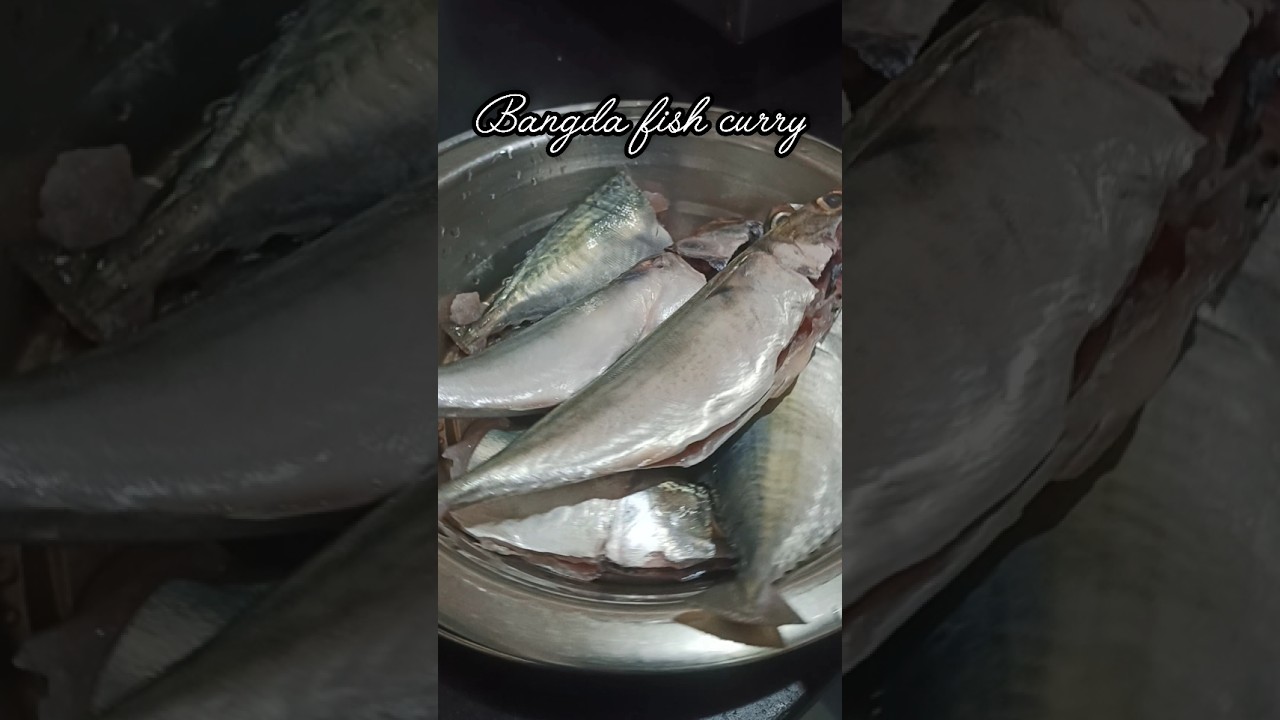 Bangda fish curry. 