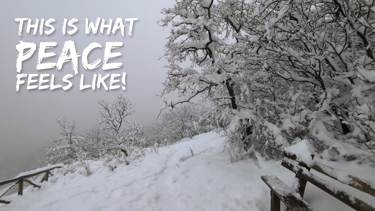 Walking Alone in the Forest with a Perfect Winter View - This is What Peace Feels Like!