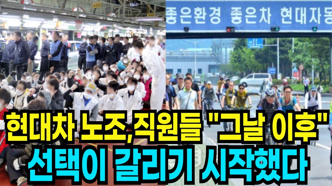 현대차 공장 안에서, 그때부터 선택이 갈리기 시작했다