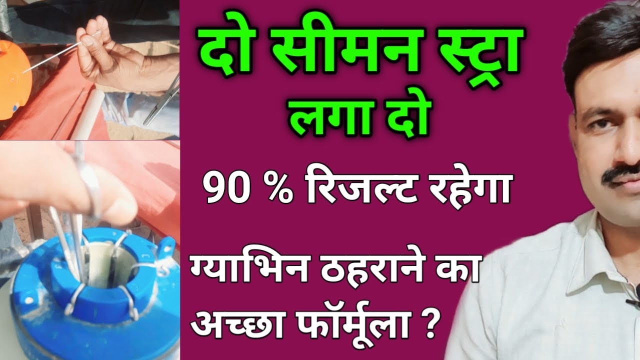 ग्याभिन ठहराने के लिए एक साथ कितने सीमन लगवाएं Ramawat