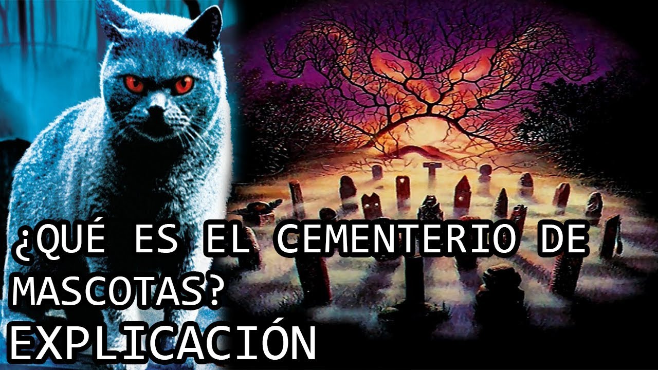 ¿Qué es el Cementerio de Mascotas? EXPLICACIÓN | El Cementerio de Animales de Stephen King EXPLICADO