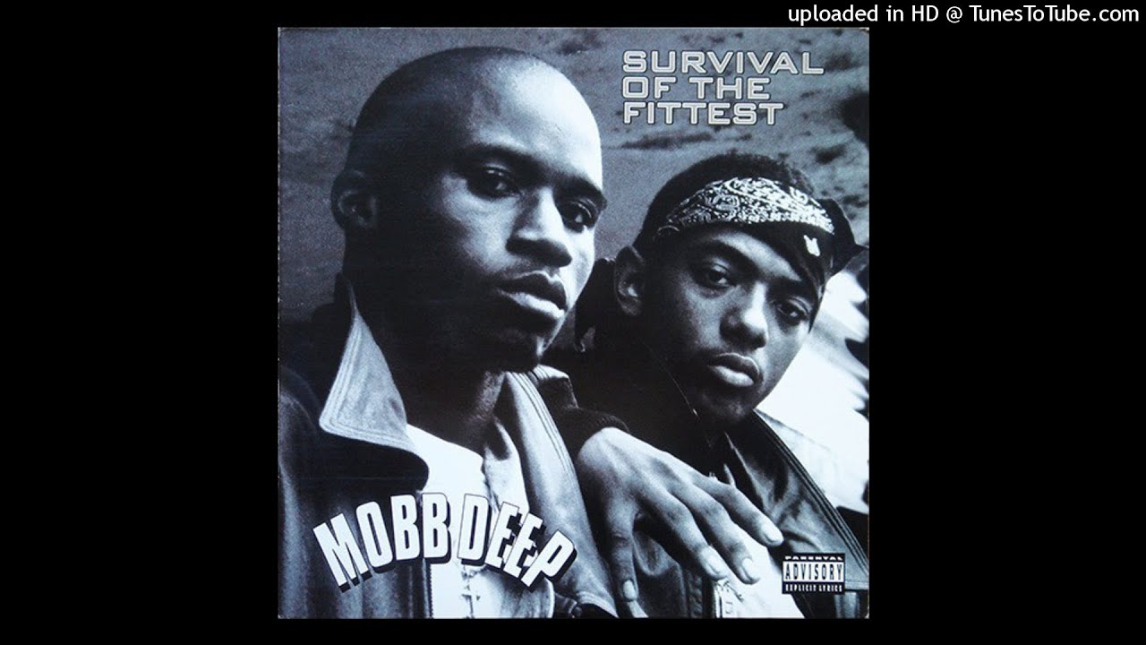 Mobb Deep - Survival Of The Fittest (Remix Extended Version) (Vinyl) [HQ]