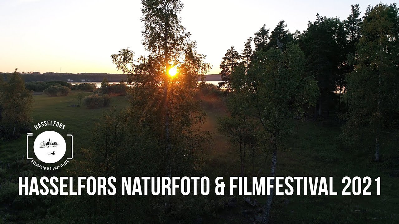 Hasselfors Naturfoto & Filmfestival Livesändning 2021 (Redigerad)