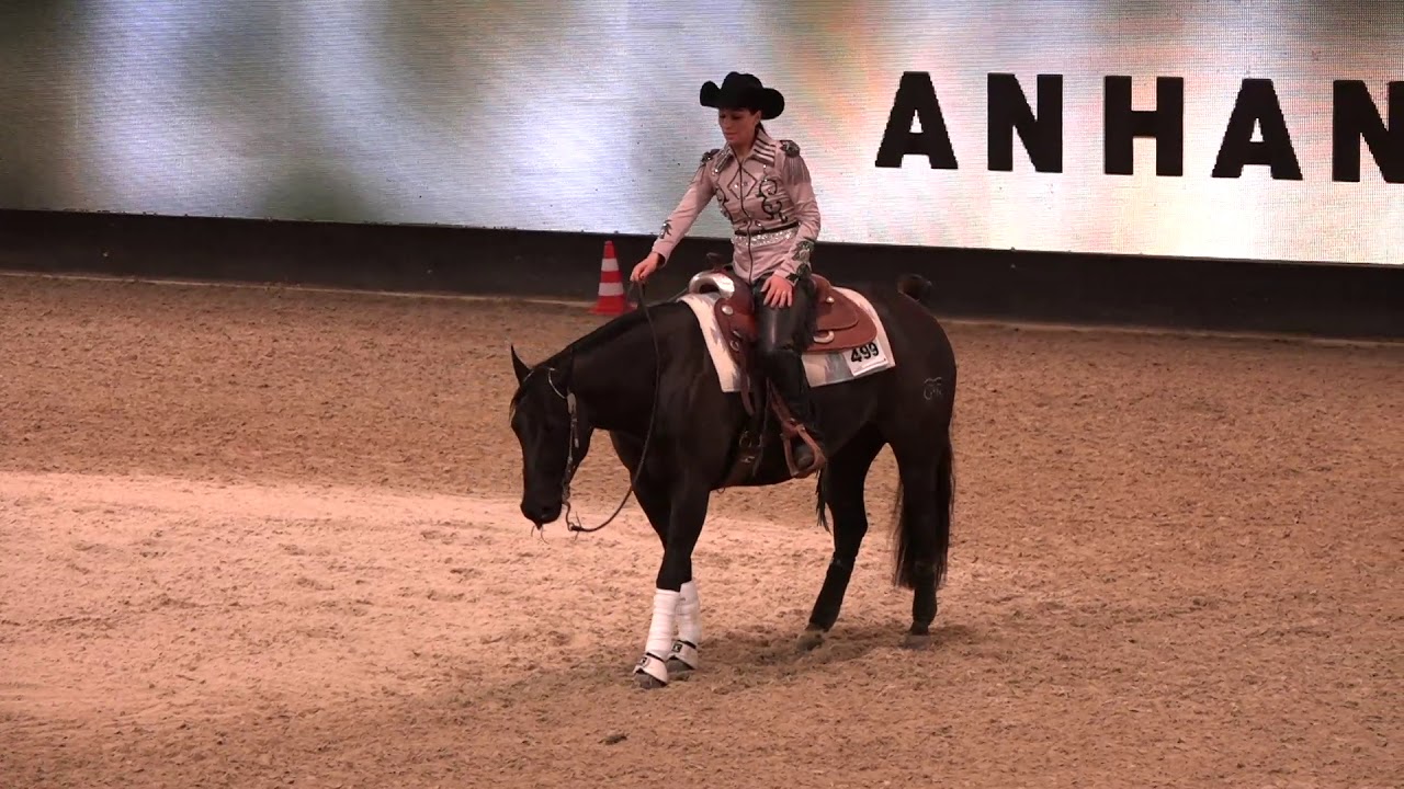 140 Reining Cup 04 StrNr 499 Nina Weber
