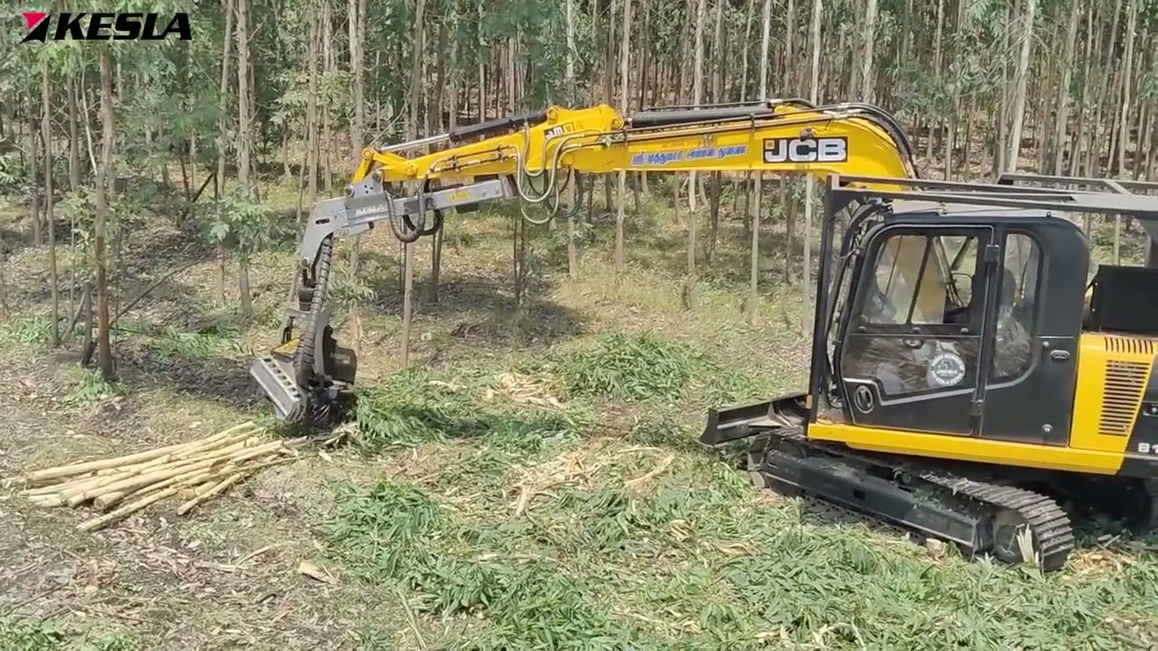 Kesla Harvester Head Processing Eucalyptus trees to logs for paper mills in India-Nilgiri Debarking