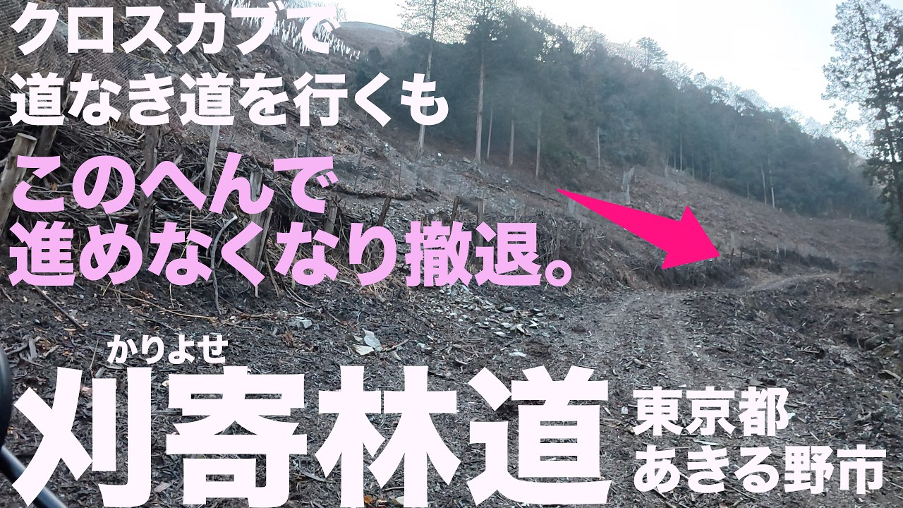 【クロスカブで道なき道へ突入】刈寄林道【途中で撤退】