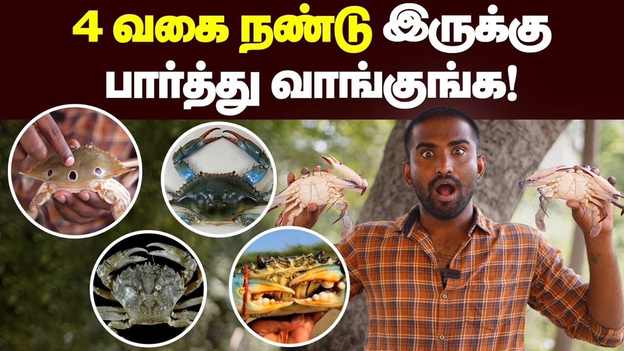 இது தெரியாம  நண்டு சாப்பிடாதீங்க  😱😱 | கெட்டுப்போன நண்டை கண்டுபிடிக்கும் எளிய வழிகள் 🔥🔥