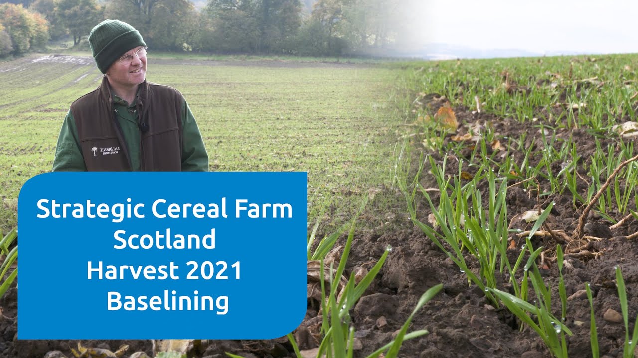Introduction to the harvest 2021 trials at the AHDB Strategic Cereal Farm Scotland