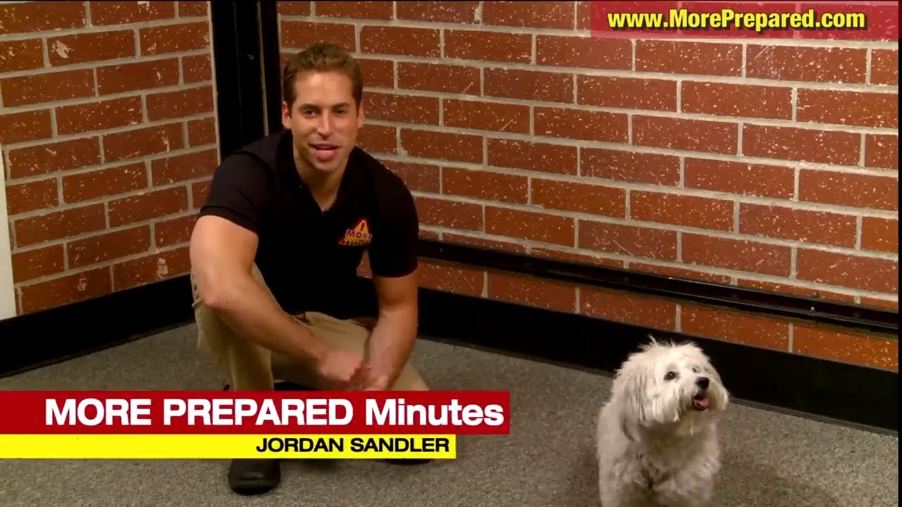 Pet Emergency Survival Kits & Safety Supplies For Dogs, Cats, & Animals