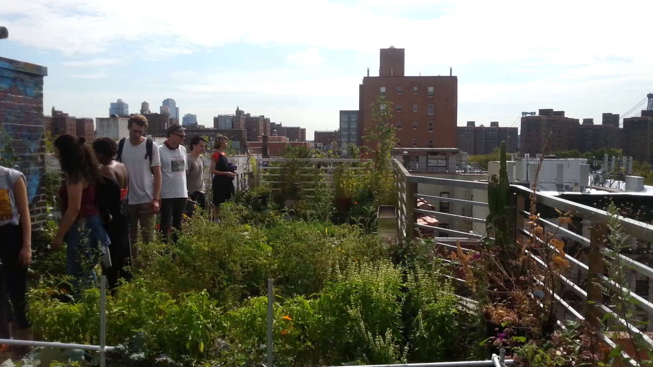 sustainable design tour Parsons School of Design