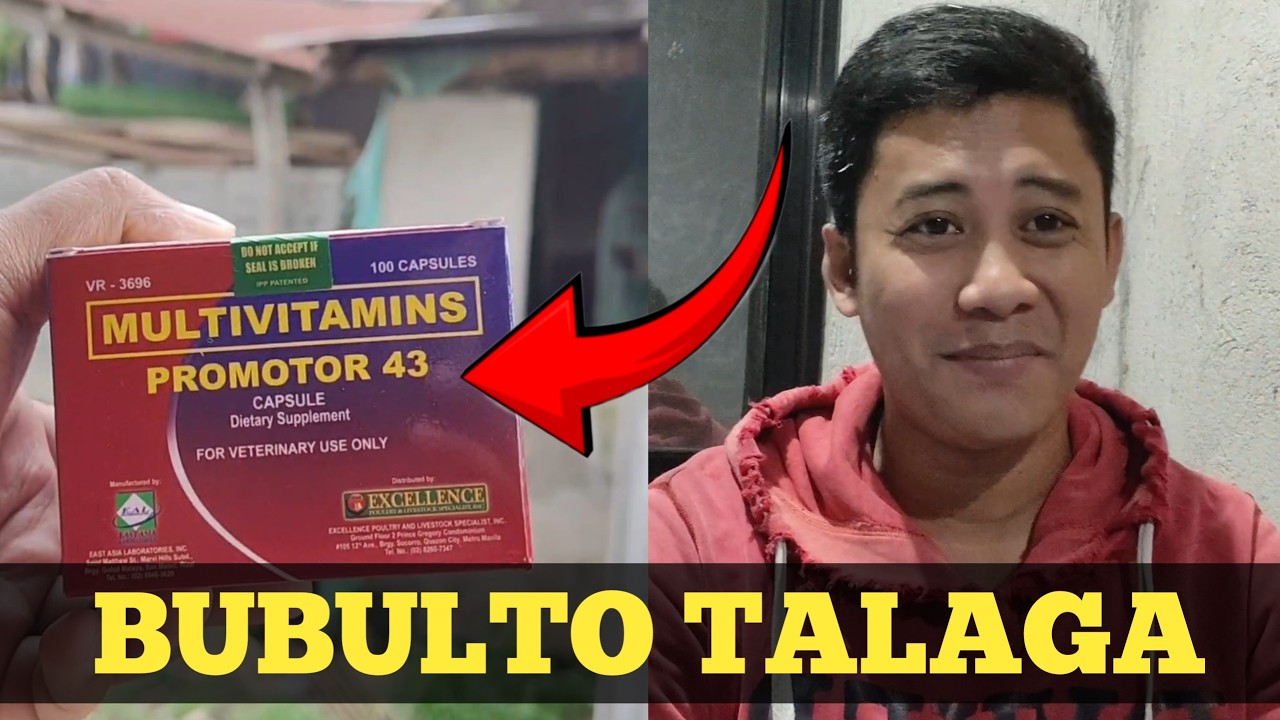 Bubuka ang katawan ng Manok mo | Promotor 43 | Linyada ng Mamay