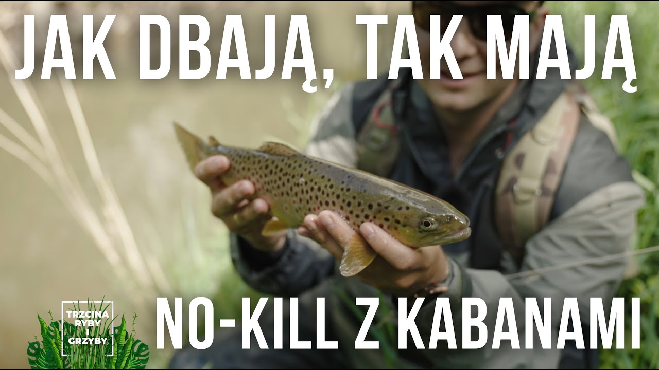 Jak dbają, tak mają... No-kill z kabanami! Trzcina, ryby i grzyby
