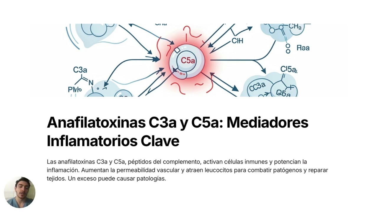 Complemento en la respuesta inmune innata.