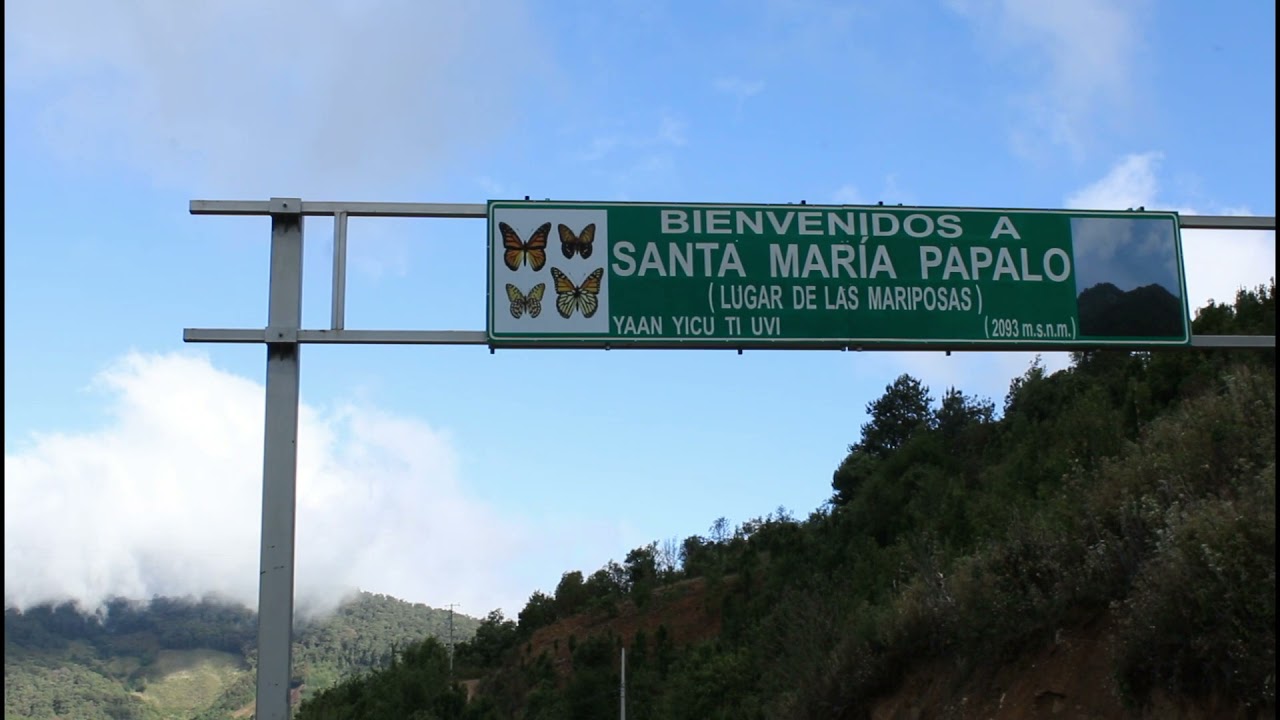 Santa Maria Papalo