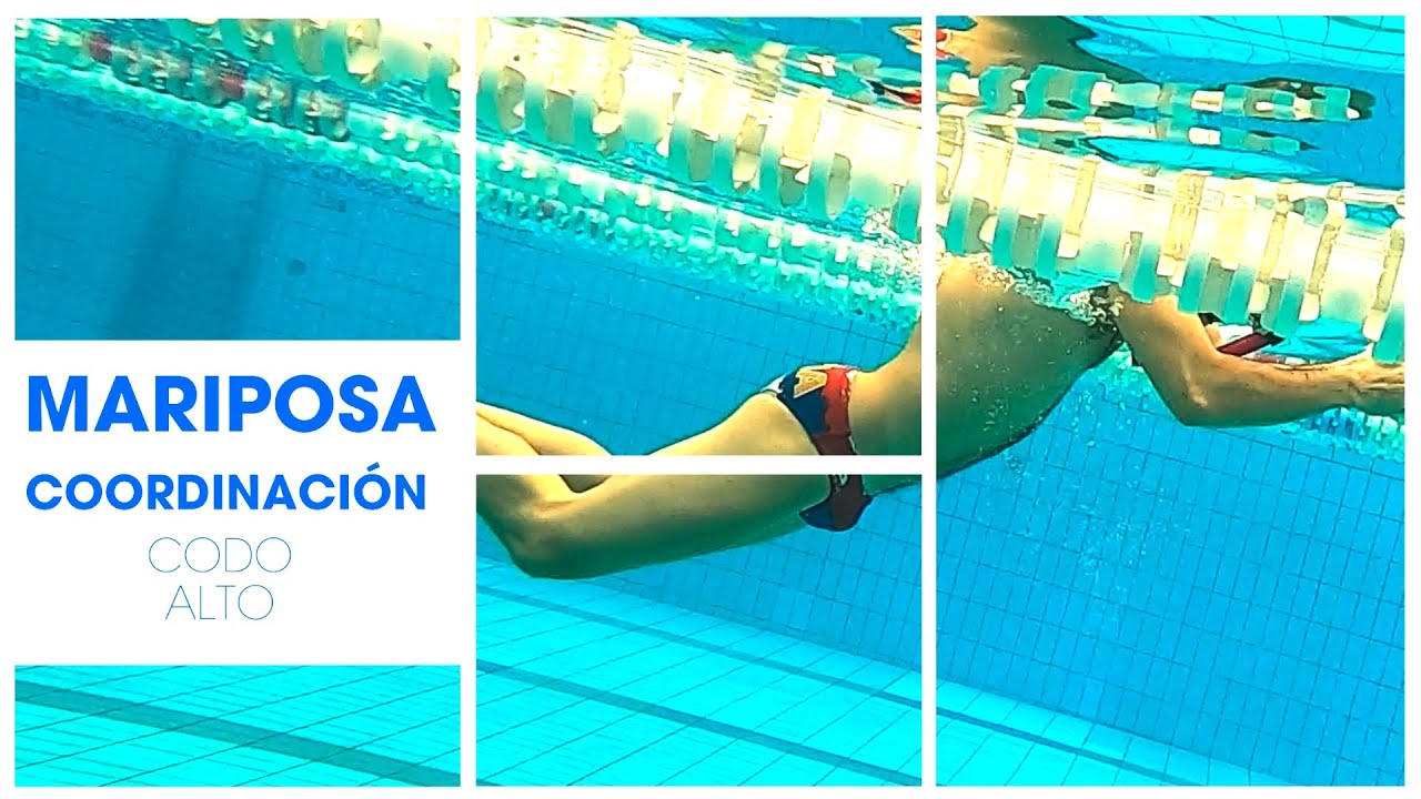 ✅ APRENDE MARIPOSA 🦋 desde 0 | La COORDINACIÓN