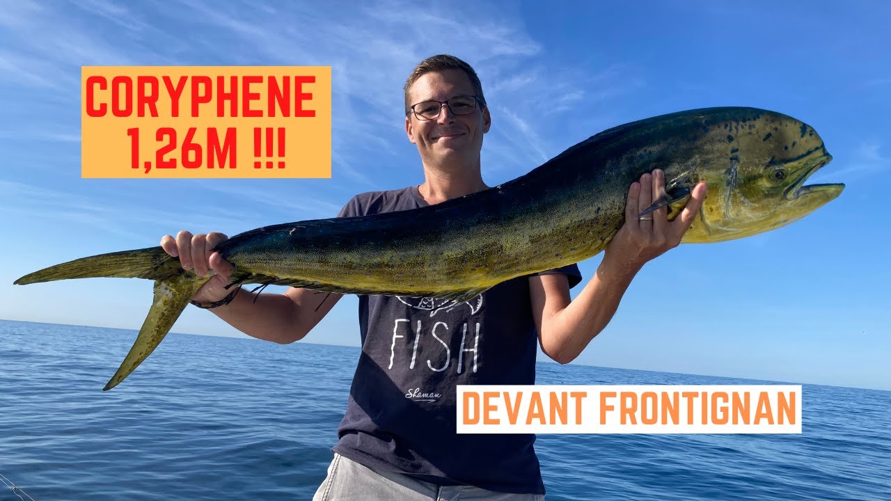 CORYPH&Egrave;NE de 1,26m devant FRONTIGNAN 🔥🔥