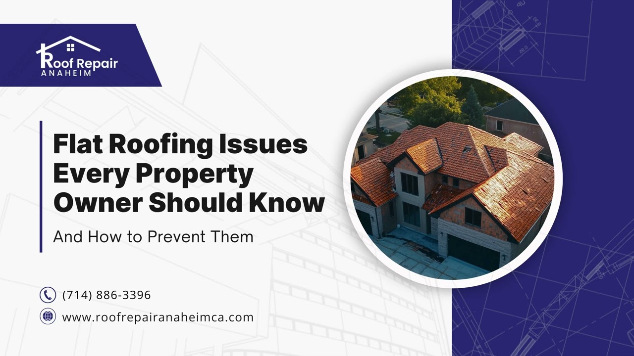 Flat Roofing Issues Every Property Owner Should Know and How to Prevent Them