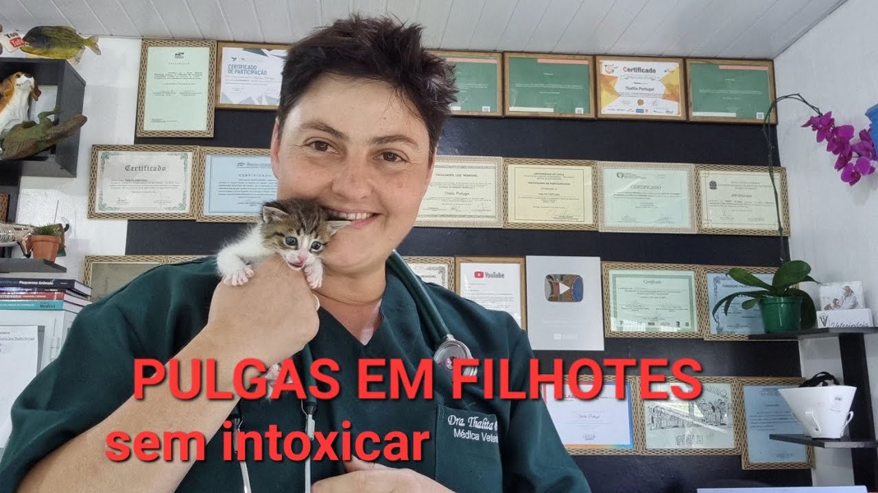 ANTIPULGAS PARA GATOS FILHOTES