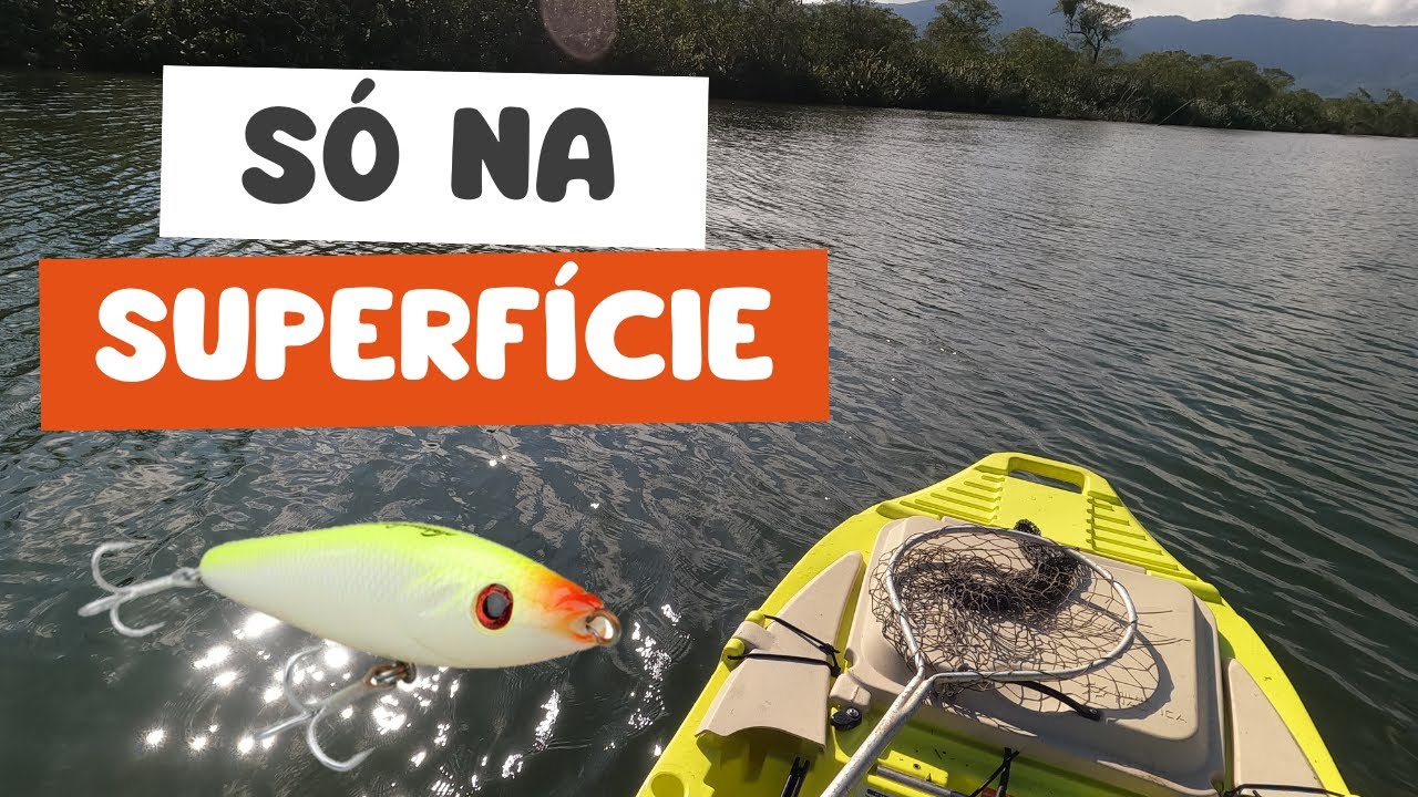 🔥 ESTOURO!!! PESCARIA DE ROBALO, SÓ NA SUPERFÍCIE!