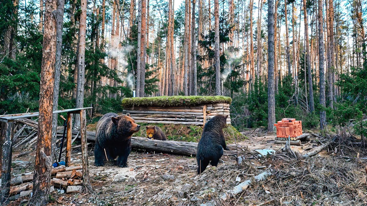 14 Days in My Secret Underground House: The Ultimate Spring Adventure!